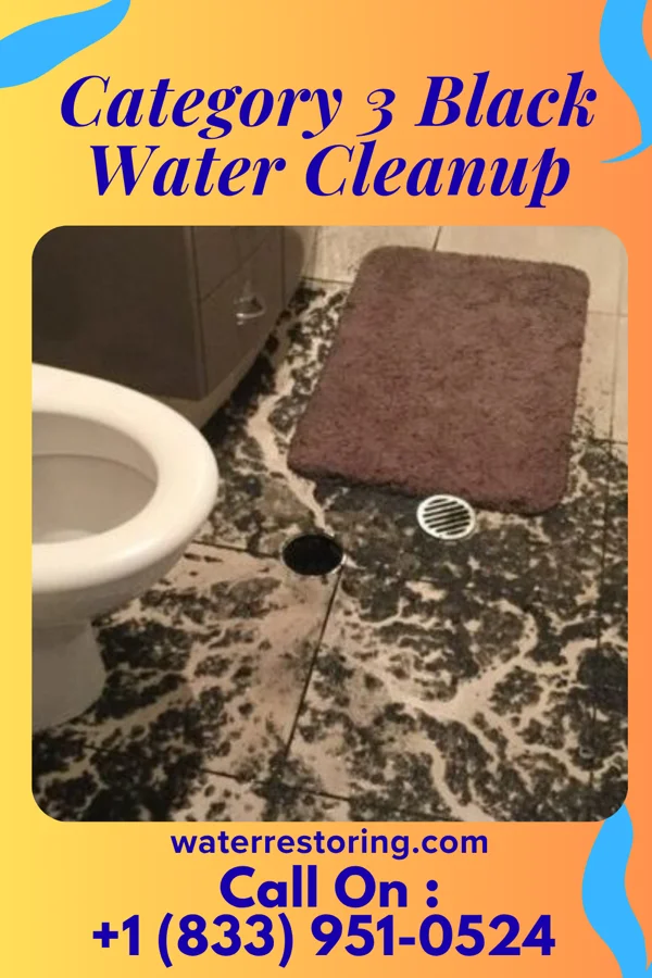 Category 3 Black Water Cleanup in Hurst, IL