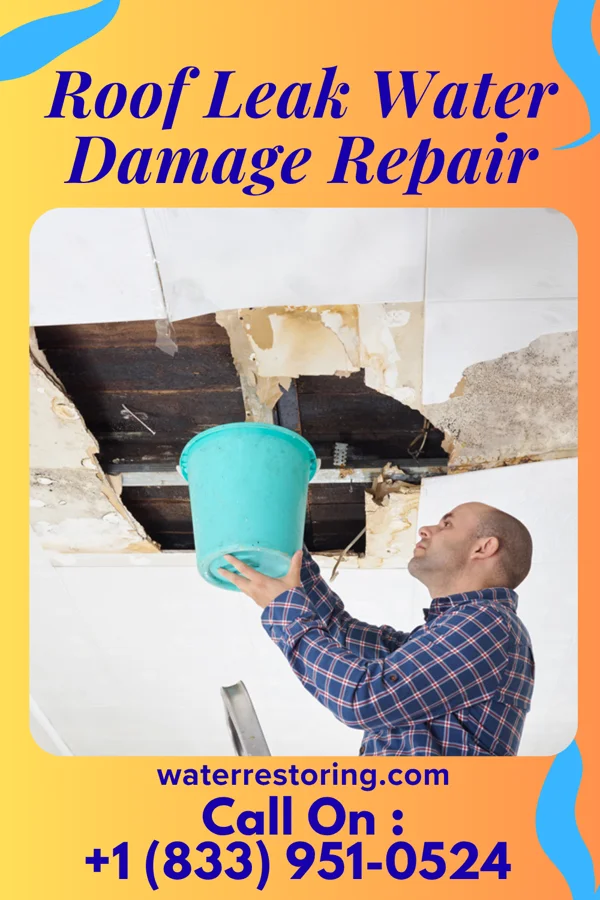 Roof Leak Water Damage Repair in Hurst, IL